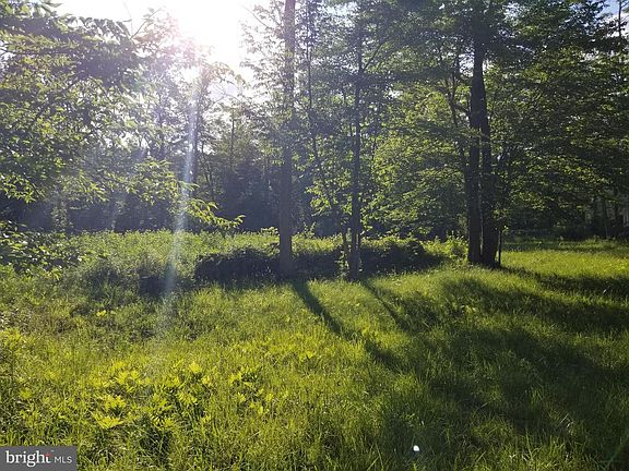 4th image of 0 Woodcock Ln