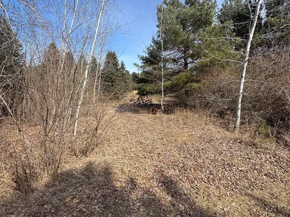 1008 Cantabrian Dr, Weidman, MI 48893