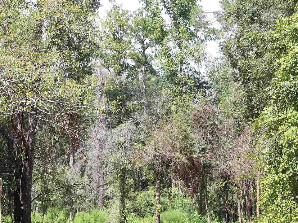 150 Ward Rd, Attapulgus, GA 39815 MLS 363778 Zillow