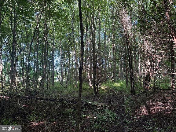 4th image of 0 Rock Springs Rd