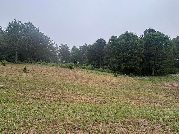 3rd image of 0 W Circle Rd
