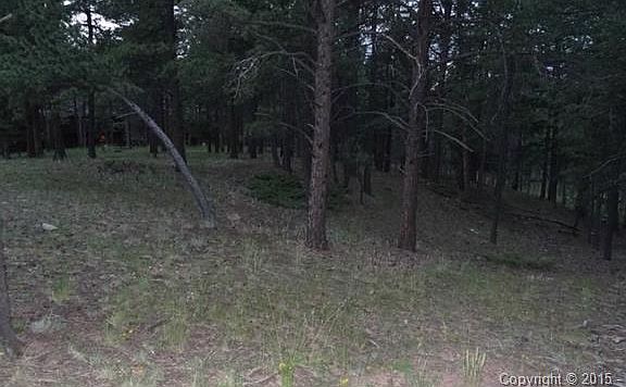 5th image of 787 Skyline Dr