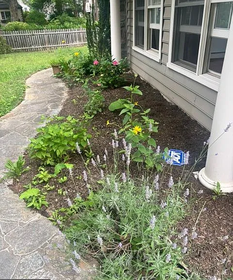 471 Athens Ave — Photo 6