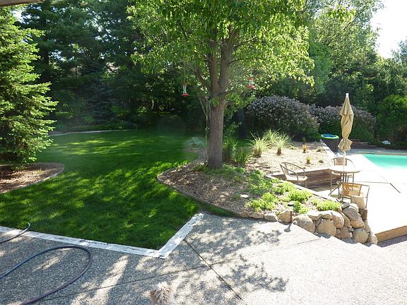 Park-like backyard