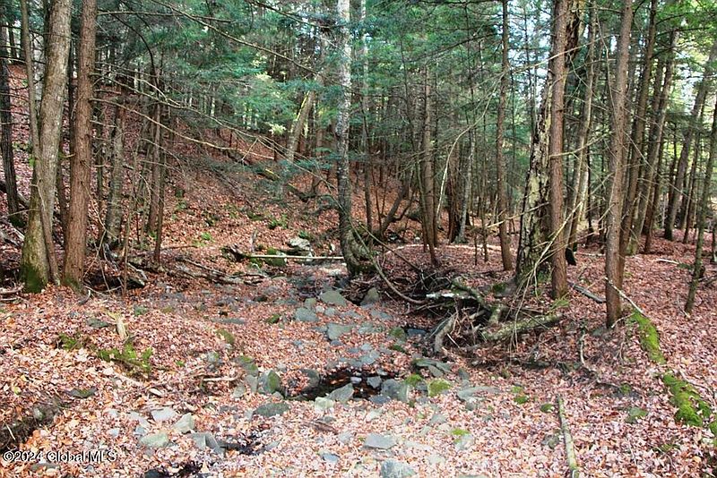 4th image of L2 Lawton Hollow Road