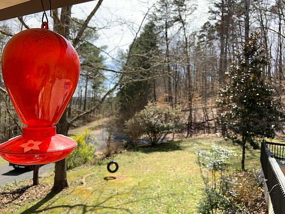 51st image of this home