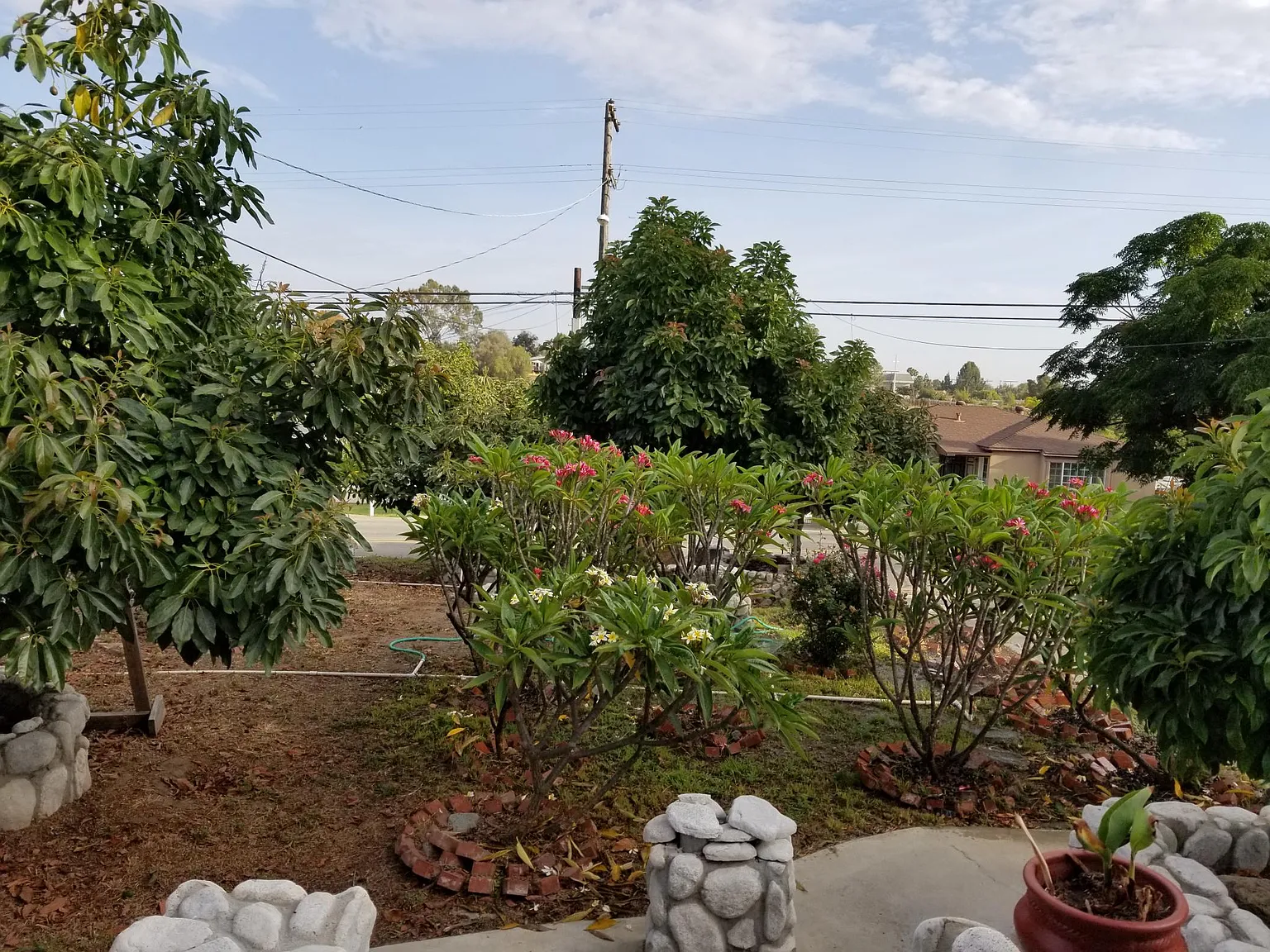 Central Ave, Lemon Grove — Photo 2