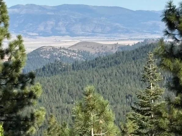 6050 W Bitterbrush Rd, Portola, CA 96122