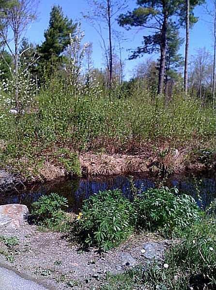 1st image of Lot #7 Stonewall Drive