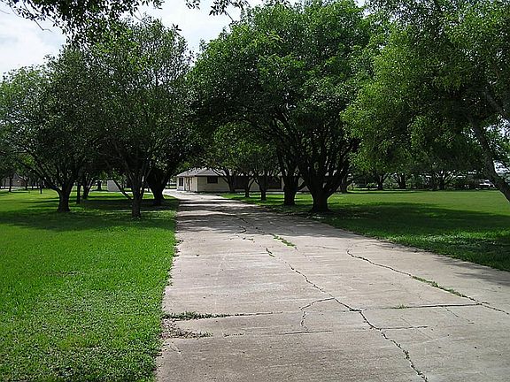 Oak tree lined entry