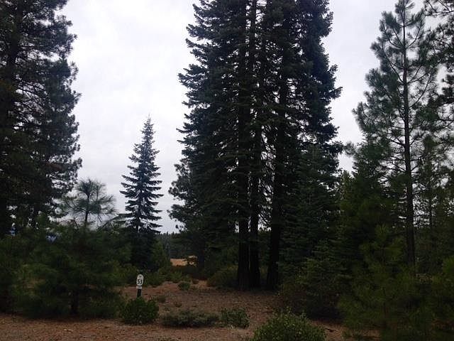 1st image of 127 Long Leaf Pine Ln