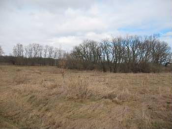 5th image of 2712 Chatham Ln