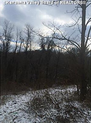 2nd image of 909 Rosedale Dr