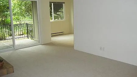 Willow Springs Apartments — Photo 7