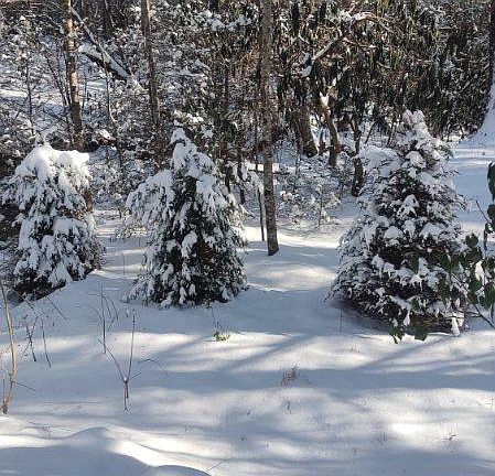 33rd image of this home