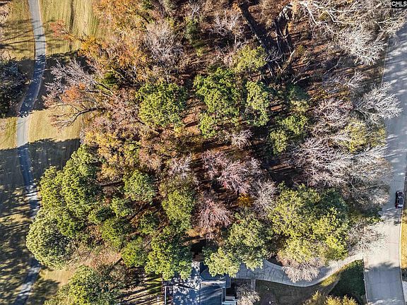 4th image of 126 Lake Summit Dr