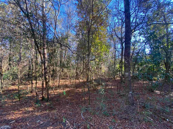 J K Moore Rd, Crawfordville, FL 32327