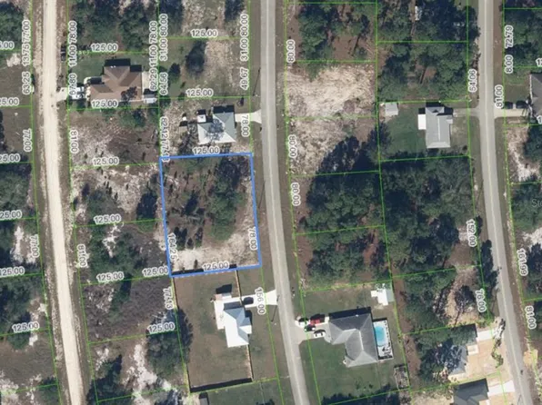 620 Lake Betty Dr Lot 29, Lake Placid, FL 33852