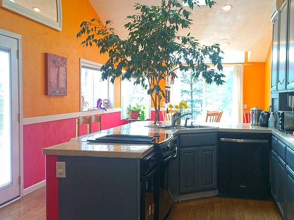 Live tree emerging from counter