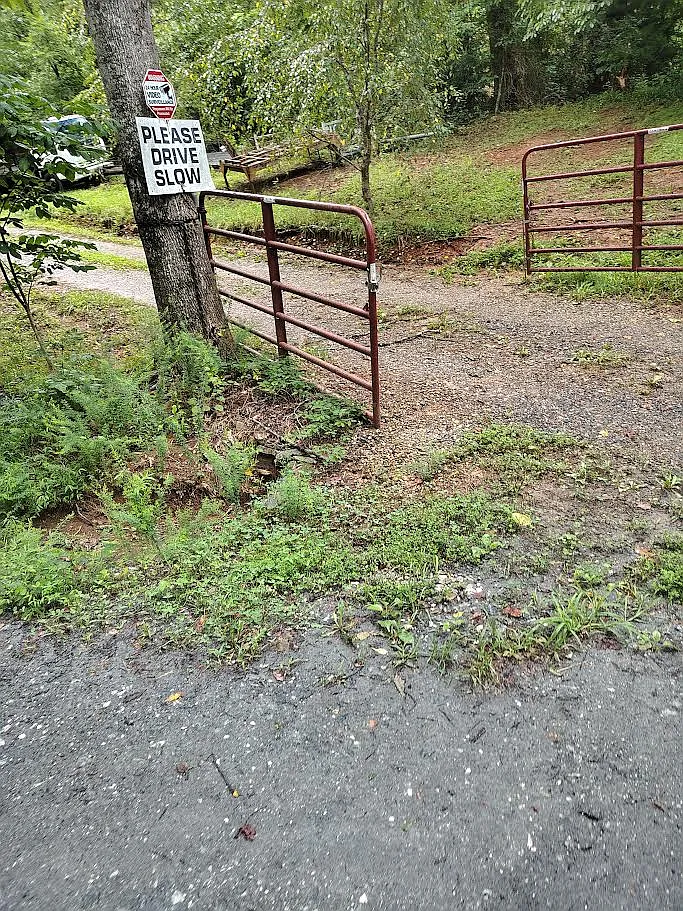 1 bed, 224 sqft, $850 — Photo 2