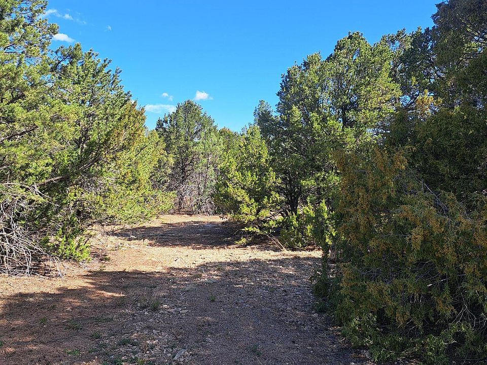 2nd image of 165 Juan Tomas Rd