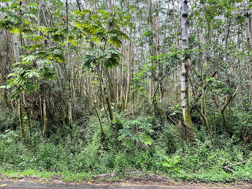 1st image of Makamae St Lot 31