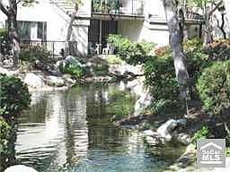 Views of Streams and Pool
