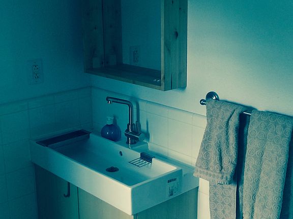 Bath sink