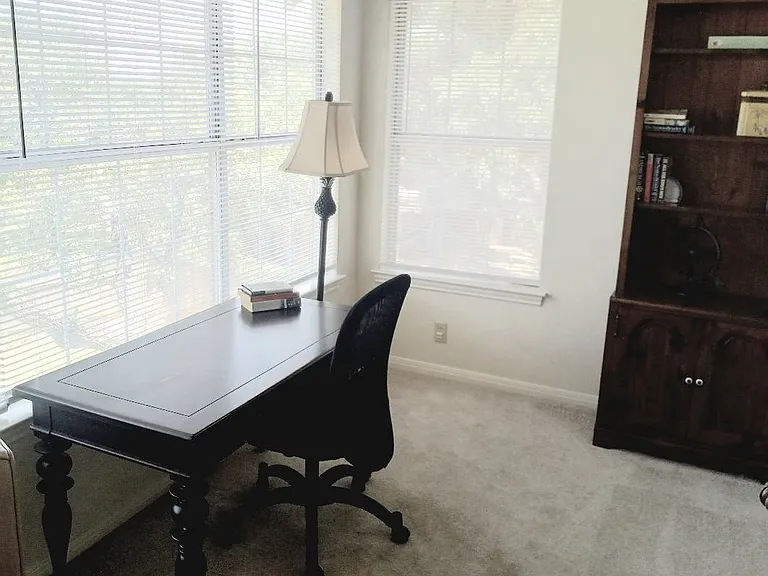 Private office space with treetop views, comfy office chair, bookshelf