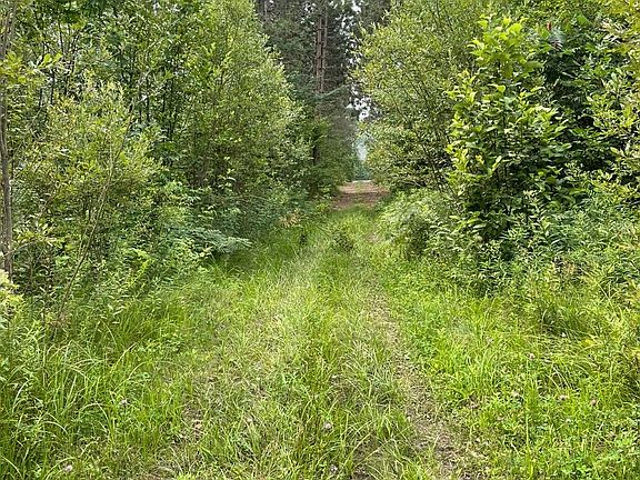 4th image of 0 Government Rd