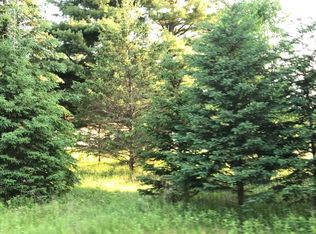 1090 W Howard Rd, Beaverton, MI 48612