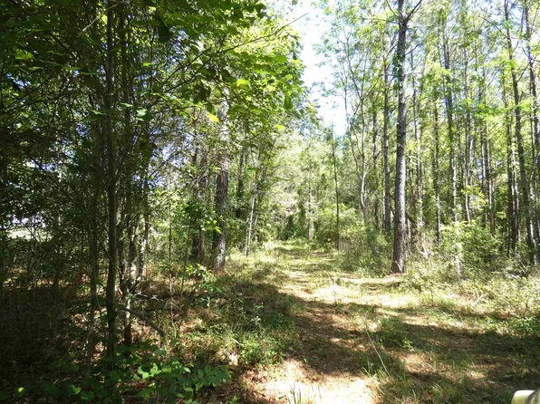 1310 Piney Woods Rd, Monticello, FL 32344