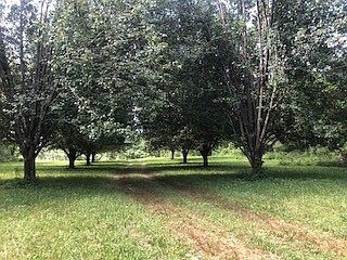 4th image of 7612 Cumberland Dr