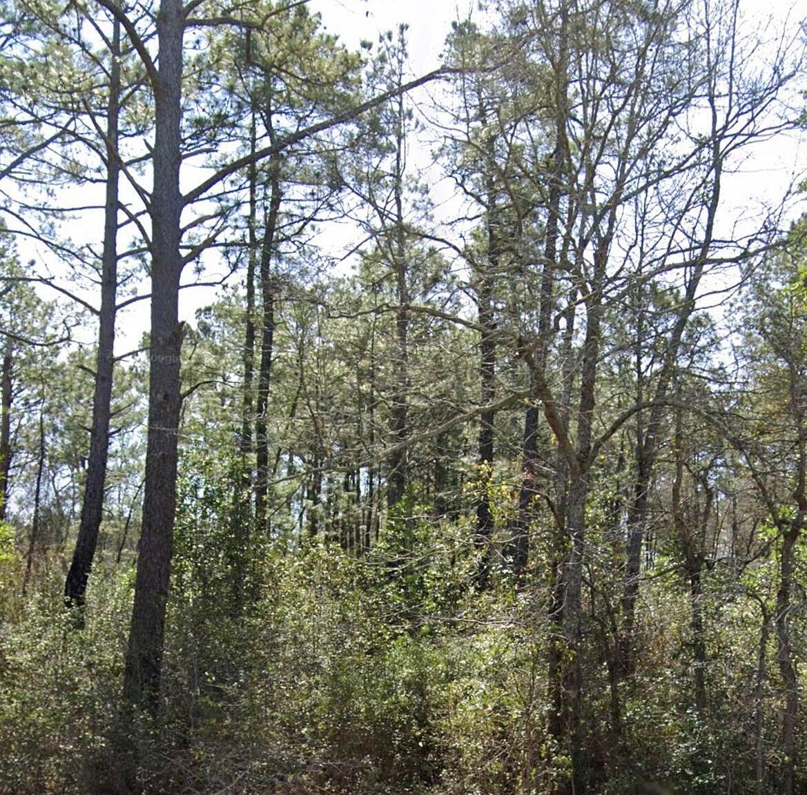 0 Newkirk Road, Currie, NC 28435 MLS 100384861 Zillow