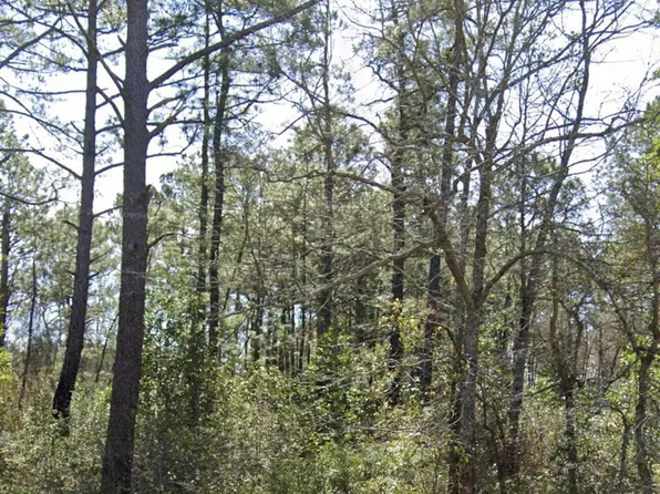 0 Newkirk Road, Currie, NC 28435