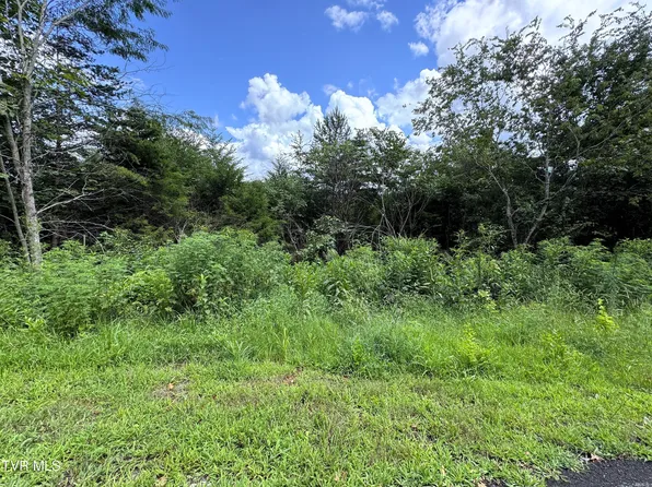 19 English Fields Dr, Cosby, TN 37722