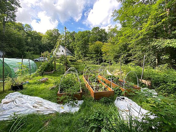 Raised bed veggie garden