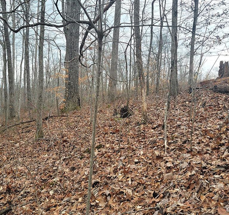 1st image of 9091 River Dr