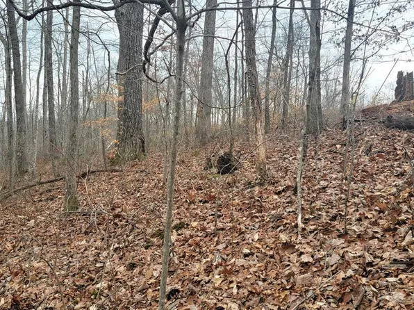 9091 River Dr, Crawford, TN 38554