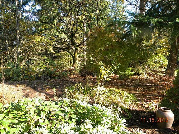 3rd image of 6506 NW Bernie Dr