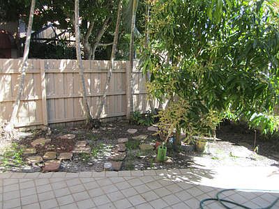 The back Yard