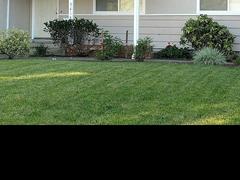 Louisiana Dr — Photo 3