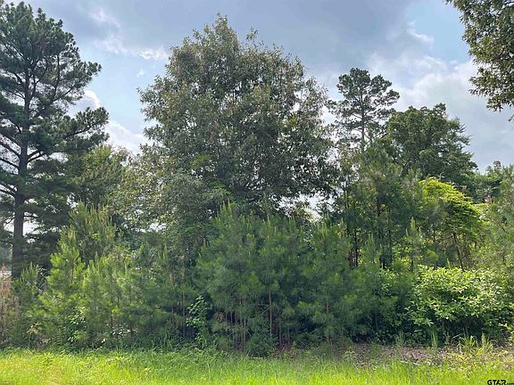 5th image of LOT 25 County Road 3545