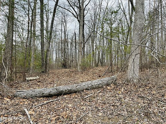 2nd image of 31 Tresa St Lot 31