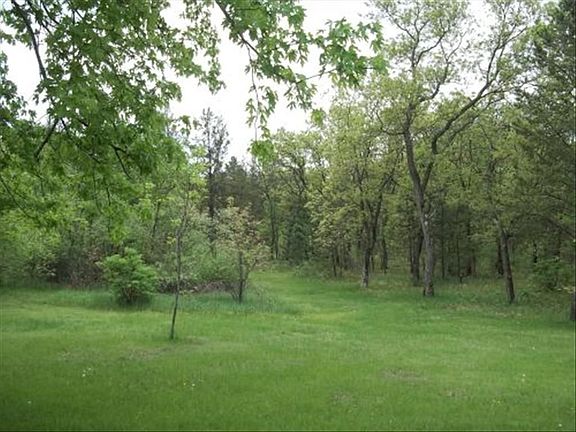 View to Back