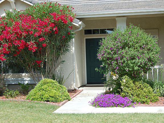 2nd image of 2903 Plum Ln