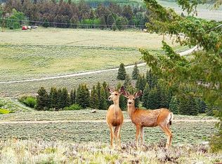 457 Castle Cir, Powderhorn, CO 81243