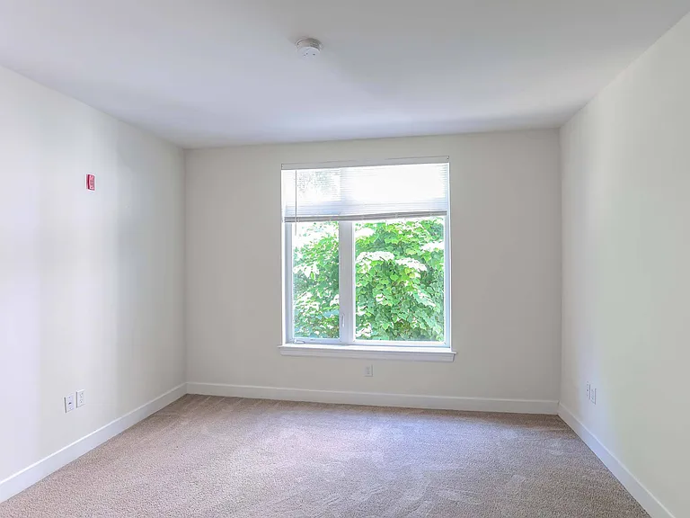 7 Cameron Apartments — Photo 13