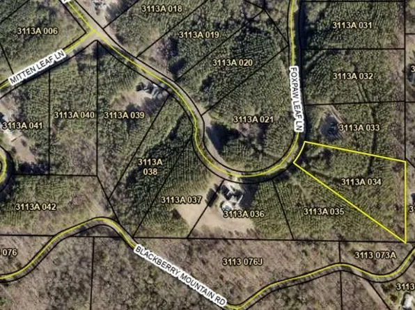 0 Fox Paw Leaf Ln #34, Ellijay, GA 30536
