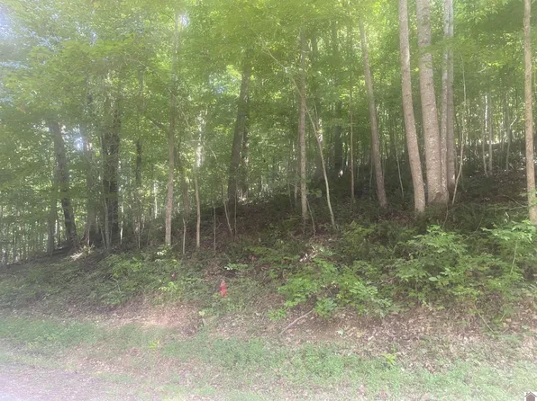 90 Canton Heights Cir #Ii, Cadiz, KY 42211